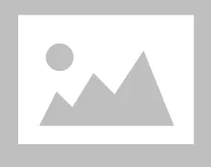 VOL 3033